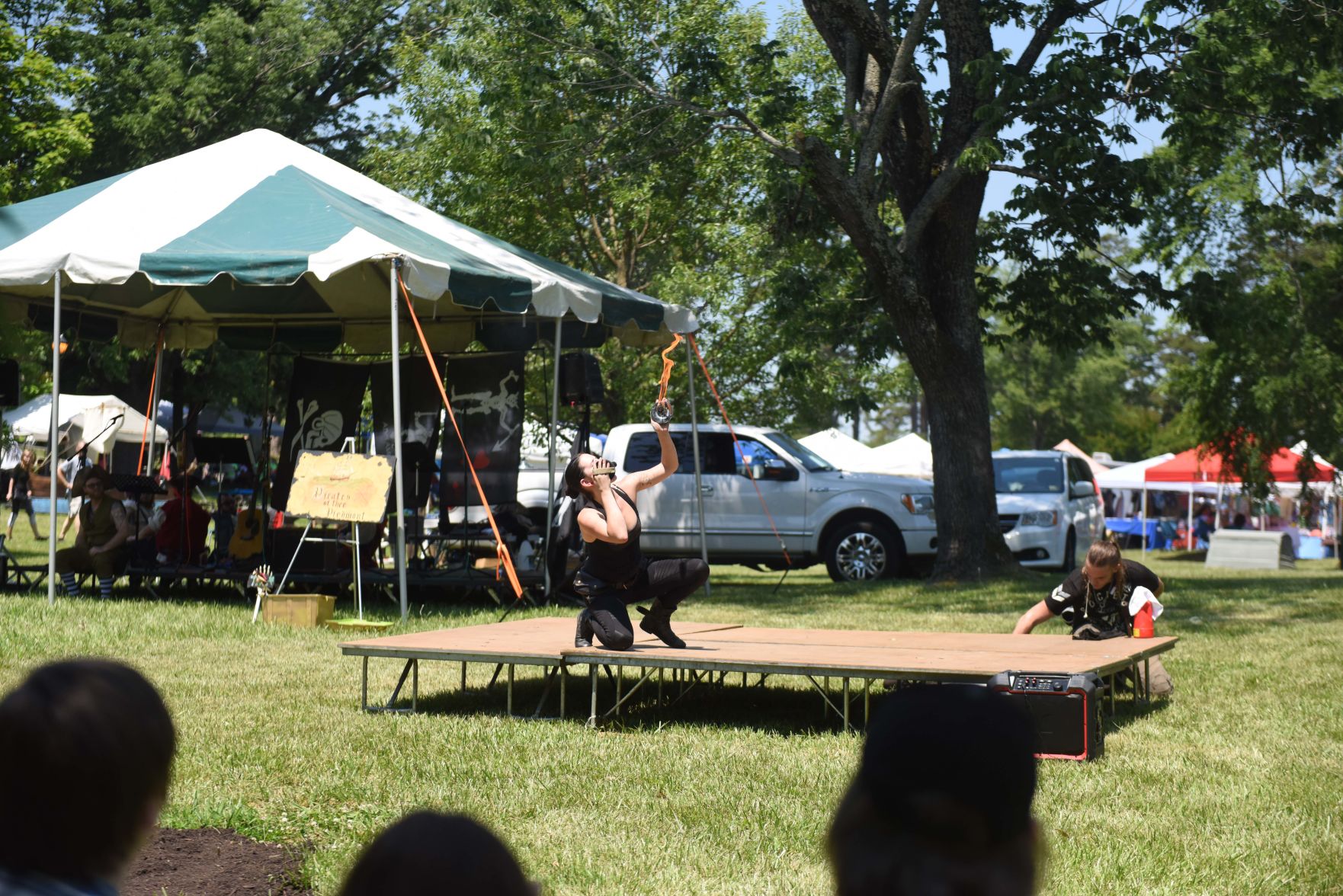 Festival in the Park